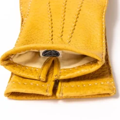 Glove