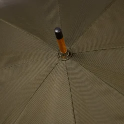 Green Umbrella 