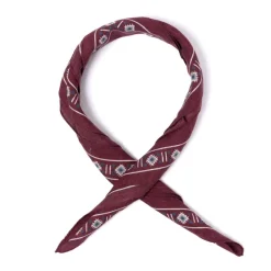 Rosi Collection X Mj: Wild Paisley Neck-Square Scarf In Cotton And Sil