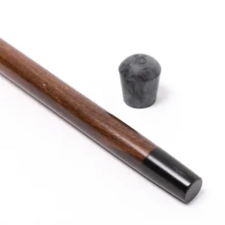 Walking Stick 