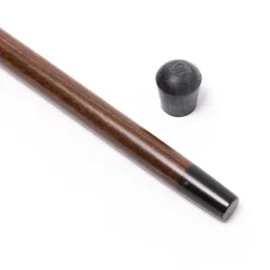 Walking Stick 