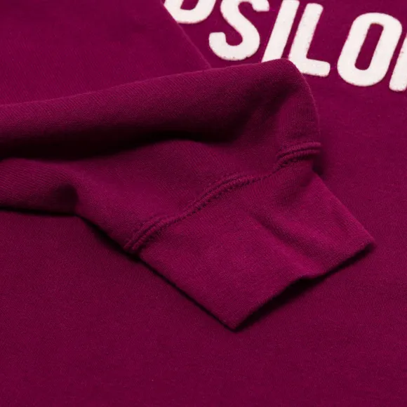 Wild Donkey X Mj: Sweatshirt With Vintage Letters "Phi Kappa Epsi